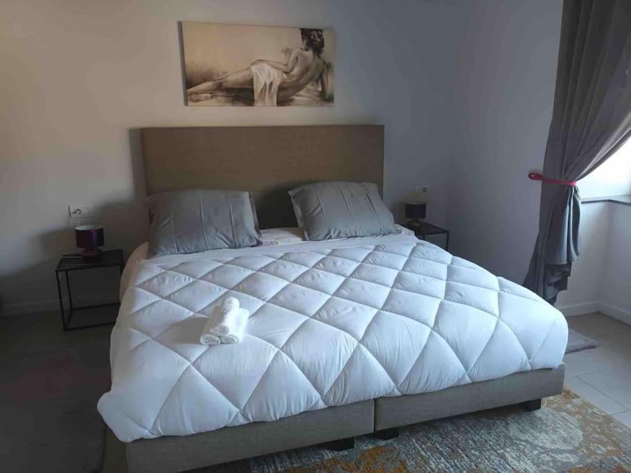 Appartamento Confortevole Deinze Εξωτερικό φωτογραφία